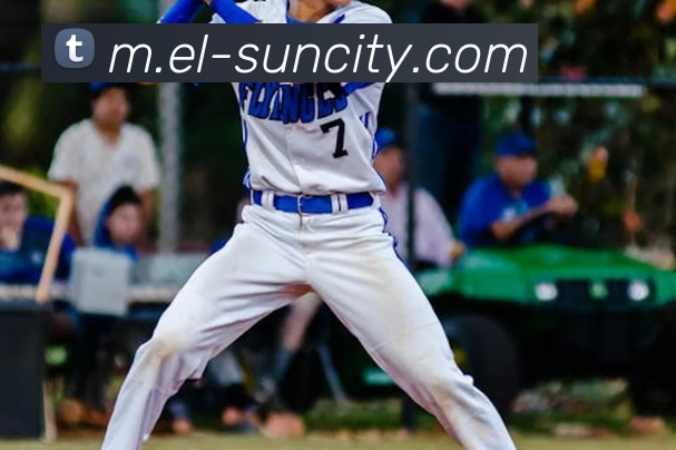 太阳城网站APP 体育赛事宣传图